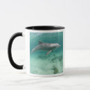Search for captive mugs Peaceful