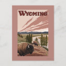 Search for yellowstone bison postcards Lantern
