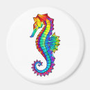 Search for autism spectrum magnets Rainbow