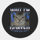 Search for cat men stickers Specialoffer