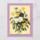 Search for vintage violet flowers postcards Violets