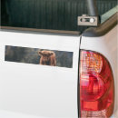 Search for highlander bumper stickers Cow