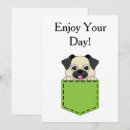 Search for pocket cards Pet