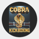 Search for kickbox stickers Funny kickboxing