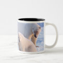 Search for sow mugs 1002