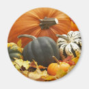 Search for october magnets Foliage