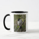 Search for chickadee art mugs Songbird