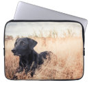 Search for old laptop cases Animal