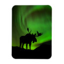 Search for alaska magnets Moose