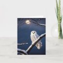 Search for branches note cards Winter
