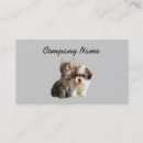 Search for cat breeder business cards Animals