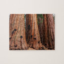 Search for sequoia national park puzzles Trees