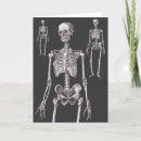 Search for orthopaedics cards Skeleton