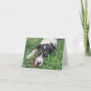 Search for shelter invitations Puppy