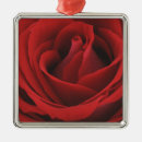 Search for affection christmas tree decorations Beauty