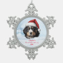 Search for bernese mountain dog christmas decor Santa