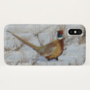 Search for pheasants electronics Wildlife photography