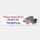 Search for hedgehogs bumper stickers Animals