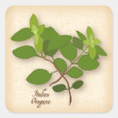 Search for oregano stickers Cooking
