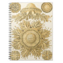 Search for ocean creature notebooks Coastal