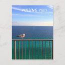 Search for gull postcards Ocean