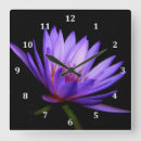 Search for water lily pond posters Colourful