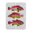 Search for fantasies magnets Fish