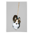 Search for mop posters Funny