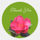Search for camellia stickers Pink