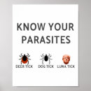 Search for resistant posters Liberal