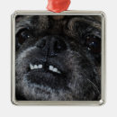 Search for pug christmas decor Animals