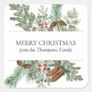 Search for conifer stickers Xmas