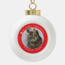 Search for paw christmas tree decorations Red
