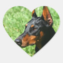 Search for valentine animal stickers Happy