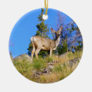 Search for mule christmas tree decorations Nature