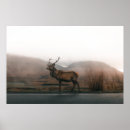 Search for vintage reindeer art Nature