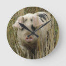 Search for spotty art Animals