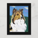 Search for sheltie postcards Shetland sheepdog