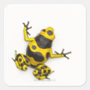 Search for dart frog stickers Cold blooded