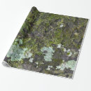 Search for camo photography Camouflage
