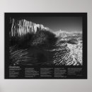 Search for dune grass posters Sand dunes
