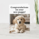 Search for adoption congratulations cards New pet