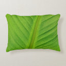 Search for banana leaf cushions Plant