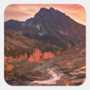 Search for basin stickers Landscape