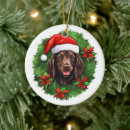 Search for boykin spaniel christmas tree decorations Dog