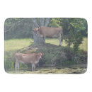 Search for cow bath mats Cattle