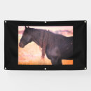 Search for wild lands posters Mustangs