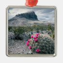 Search for big bend national park christmas tree decorations Usa