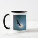 Search for flying eagle mugs Outdoors