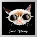 Search for felines canvas art Funny